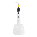 Professional Dentist Dental Obturation System: Endodontic OLED LCD Screen, Warm Gutta-percha Gun & 4 Heating Tips