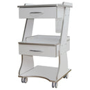 Mobile Dental Cart with Built-in Socket, Water Bottle Holder & Rolling Trolley Base