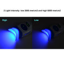 10-LED Dental Whitening Lamp with Adjustable Arm Holder for Tabletop Use