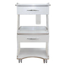 Mobile Dental Cart with Built-in Socket, Water Bottle Holder & Rolling Trolley Base