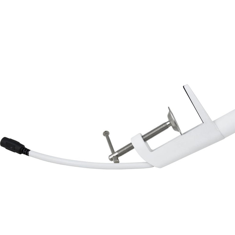 Dental Whitening Lamp with Remote Control & 3 Light Modes for Teeth Bleaching