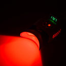 High-Power Blue LED Dental Whitening Lamp for Accelerated Gel Catalysis