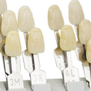 Durable Porcelain Teeth Dental Materials VITA 29 Colors Shade Guide Teeth