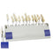 Durable Porcelain Teeth Dental Materials VITA 29 Colors Shade Guide Teeth