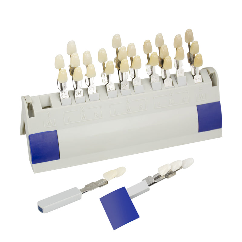 Durable Porcelain Teeth Dental Materials VITA 29 Colors Shade Guide Teeth