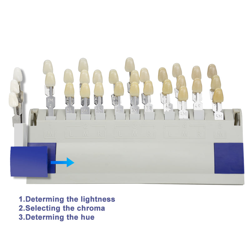 Durable Porcelain Teeth Dental Materials VITA 29 Colors Shade Guide Teeth