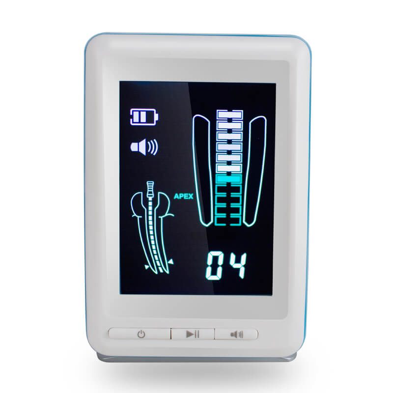 Dental Endodontic Apex Locator Root Canal Meter colorful 4.5 " LCD Screen