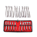 Stainless Steel Dental Extraction Kit 10pcs Forceps and Elevators for Adults