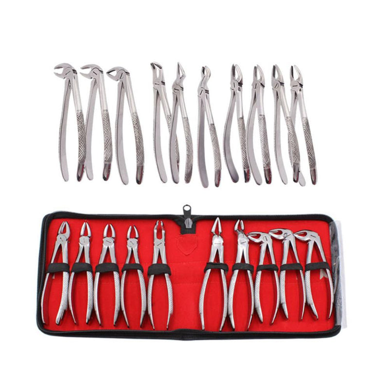 Stainless Steel Dental Extraction Kit 10pcs Forceps and Elevators for Adults