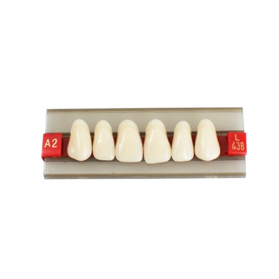 Acrylic Resin Denture Dental Teeth Shade G438 A2 A3