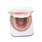 Dental Intraoral Orthodontic Photographic Glass Mirror