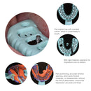 6Pcs Dental Impression Tray Disposable Plastic Implant Tooth Tray