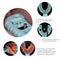 6Pcs Dental Impression Tray Disposable Plastic Implant Tooth Tray