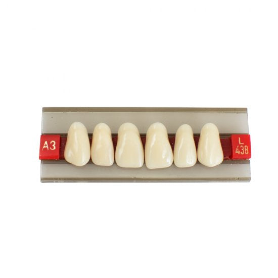 Acrylic Resin Denture Dental Teeth Shade G438 A2 A3