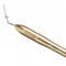 Dental Endo Hand Pluggers Tip Endodontic Instrument
