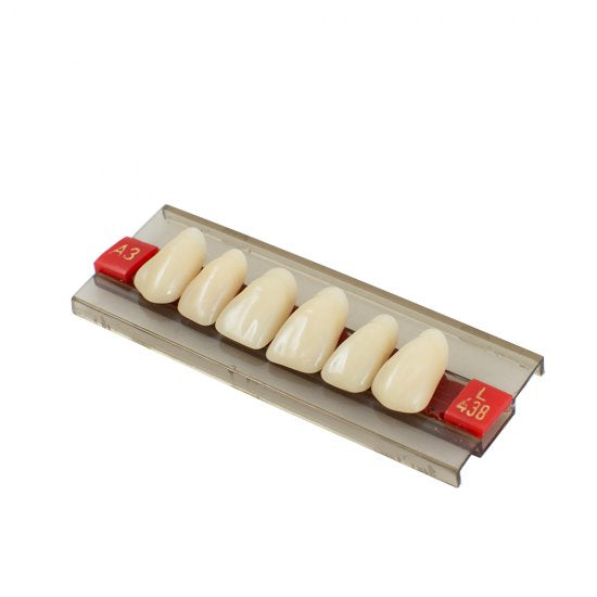 Acrylic Resin Denture Dental Teeth Shade G438 A2 A3