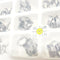 320pcs Dental Molar Bands Roth Double Upper, Single Lower, with Tube & Cleat