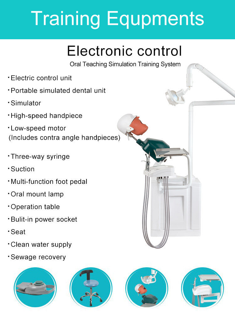 Dental Simulator Manikin Head Model