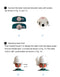 Dental Simulator Manikin Head Model