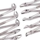 Stainless Steel Dental Extraction Kit 10pcs Forceps and Elevators for Adults