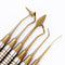 6Pcs/Set Dental Composite Resin Filling Spatula Titanium Plated Head