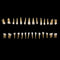 1: 1 28PCS Dental Implant Teeth Demonstration Teach Study Model
